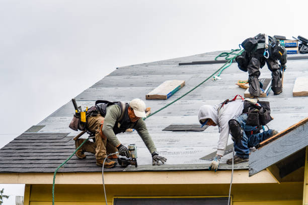 Professional Gutter Installation technician working in Chesterfield, MA